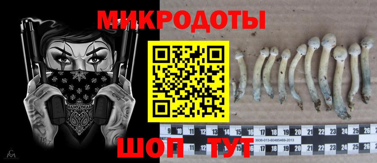Галлюциногенные грибы Psilocybine cubensis  Вход с VPN  купить наркоту  Ачхой-Мартан 